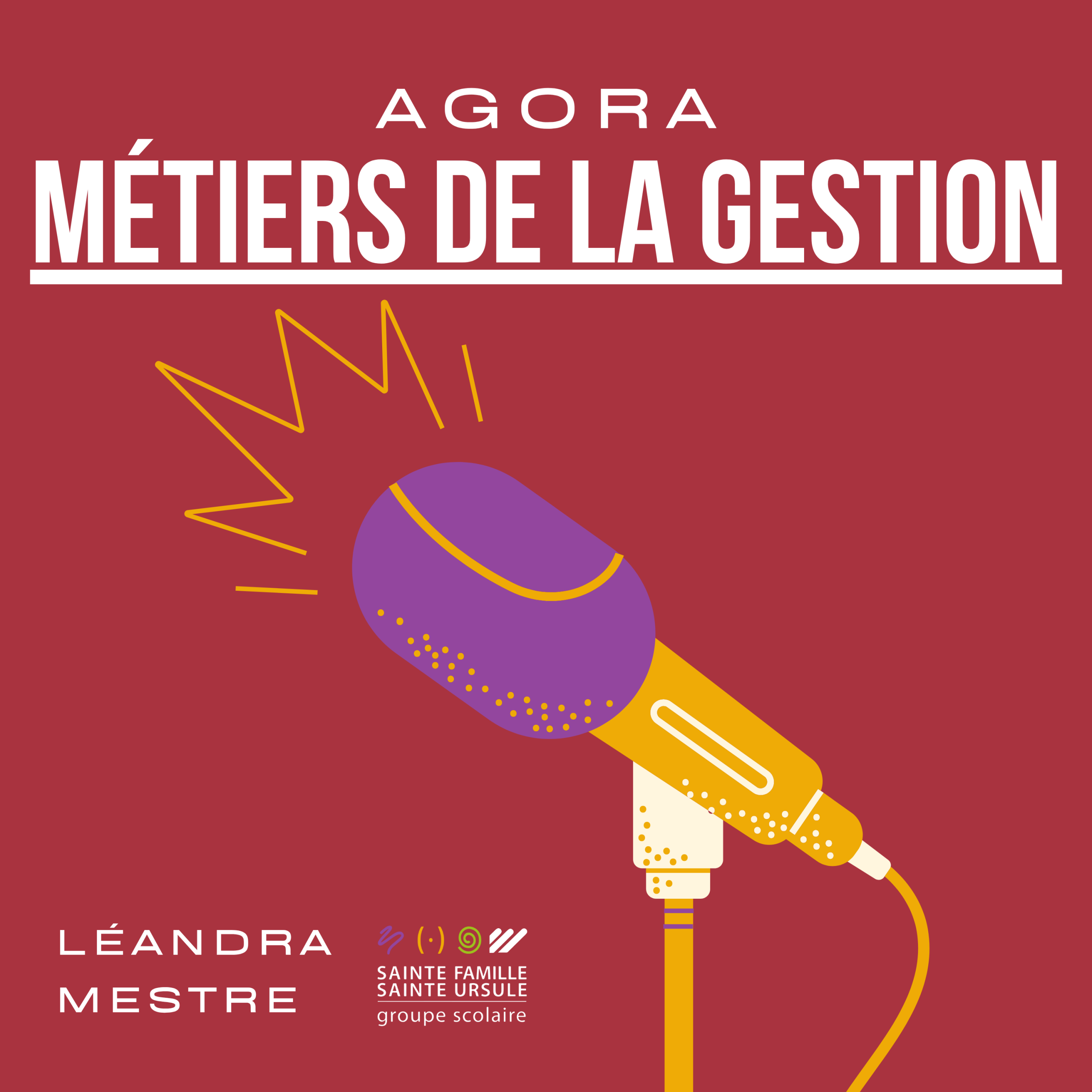 Podcast – À la découverte des métiers de la gestion